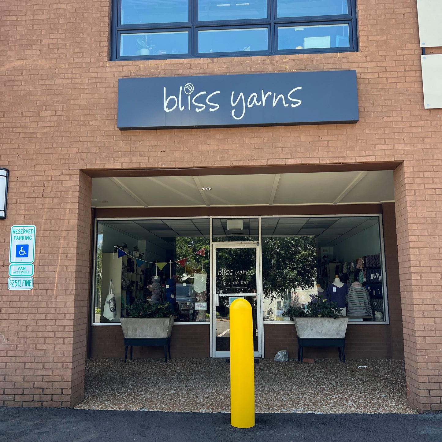 Bliss Yarns