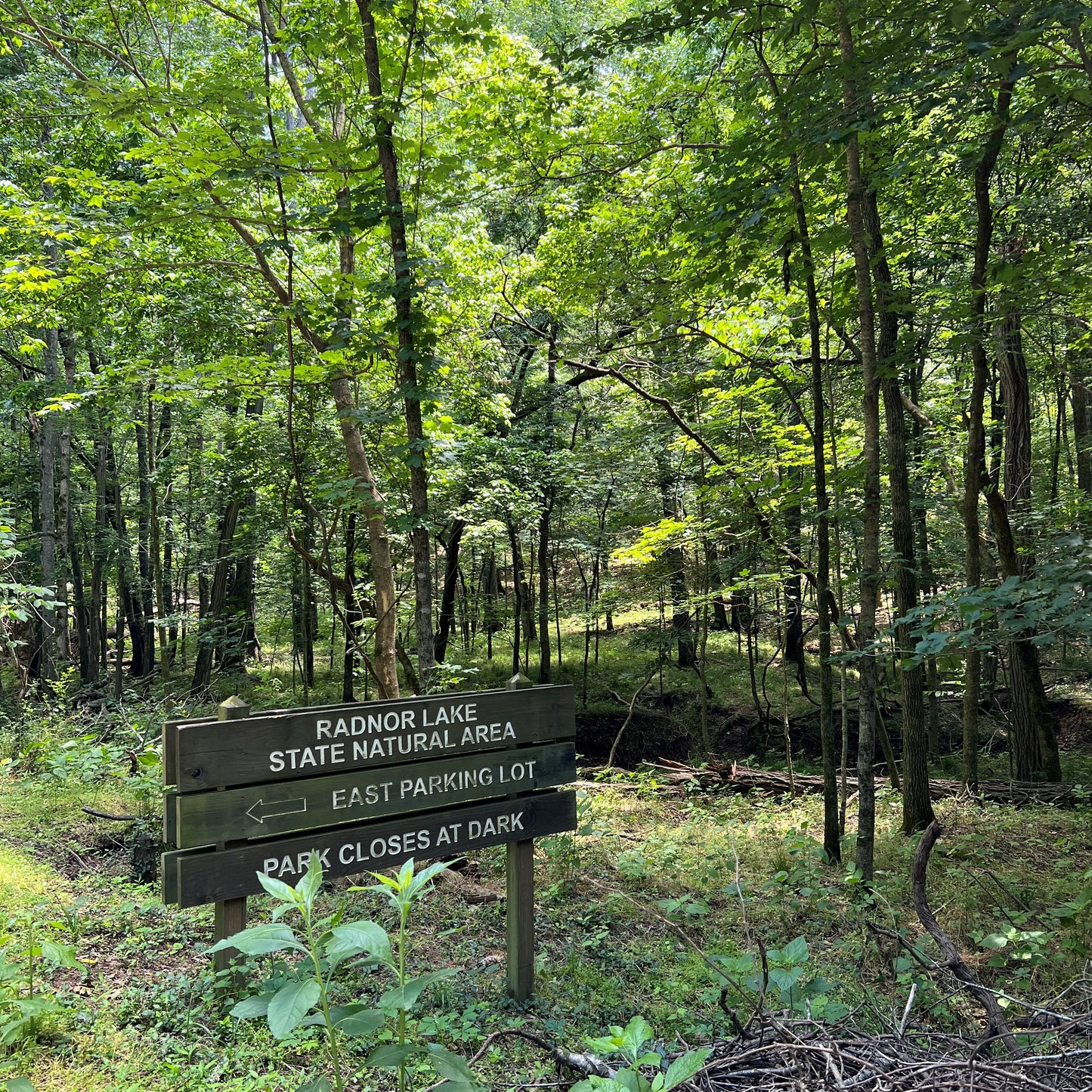 Radnor Lake